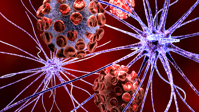 What should be paid attention to during the cancer recovery period